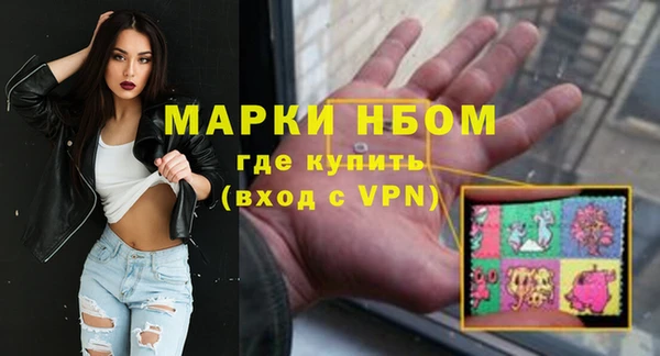 молекула духа Бородино
