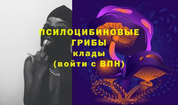 молекула духа Бородино