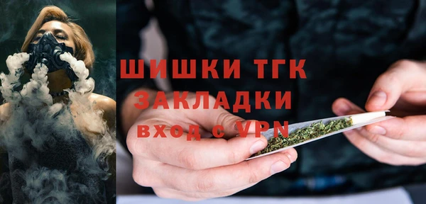 молекула духа Бородино