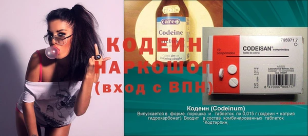 молекула духа Бородино