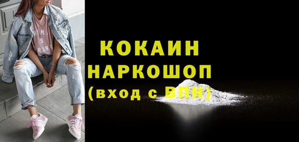 молекула духа Бородино