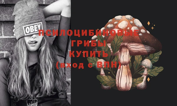 молекула духа Бородино