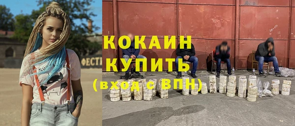 молекула духа Бородино