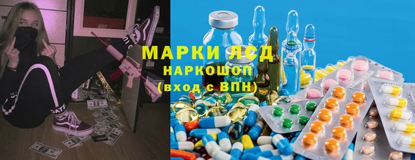 молекула духа Бородино