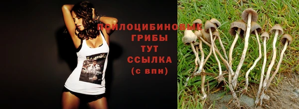СК Бугульма
