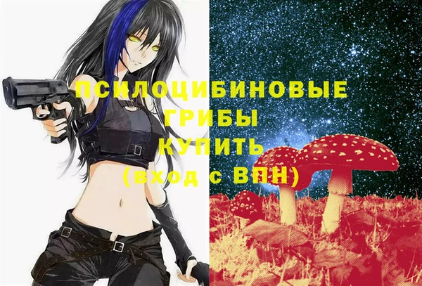 а пвп мука Бронницы