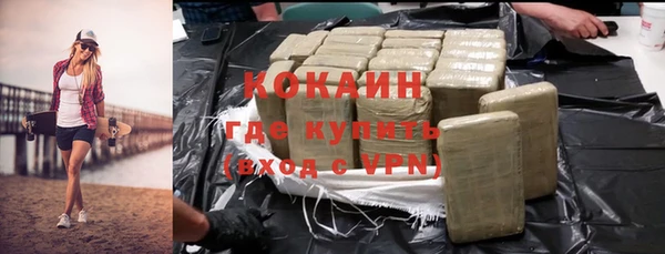 молекула духа Бородино